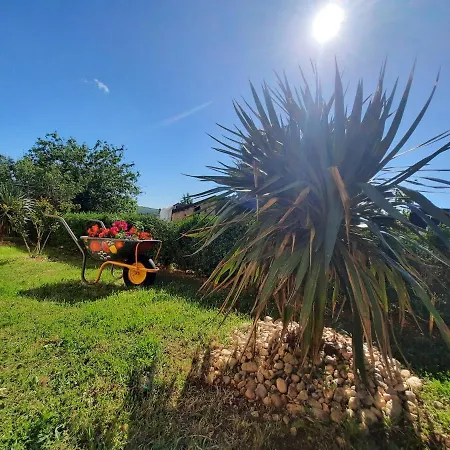 Dominik-posedarje 아파트 *